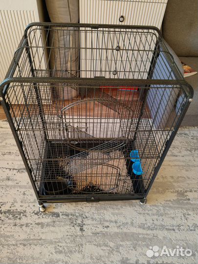 Клетка б/у