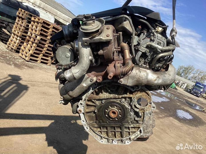 Двигатель Opel Signum Y30DT