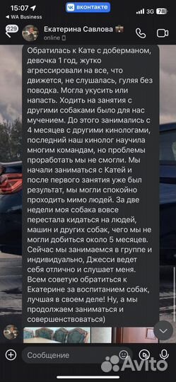 Дрессировка собак (кинолог/хендлер/ветдиетолог)