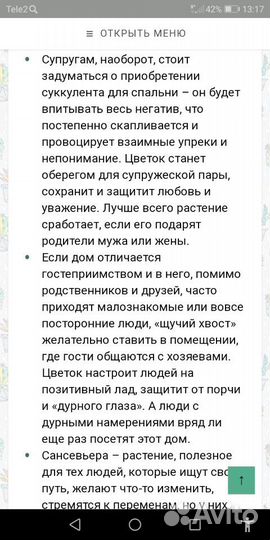 Сансевиерия Ханни, фиалка