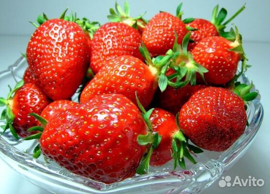 Саженцы клубники