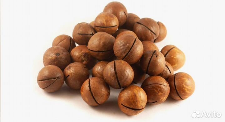 Орех Макадамия неочищенный