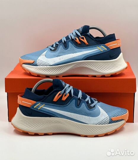 Кроссовки мужские Nike Pegasus Trail 2