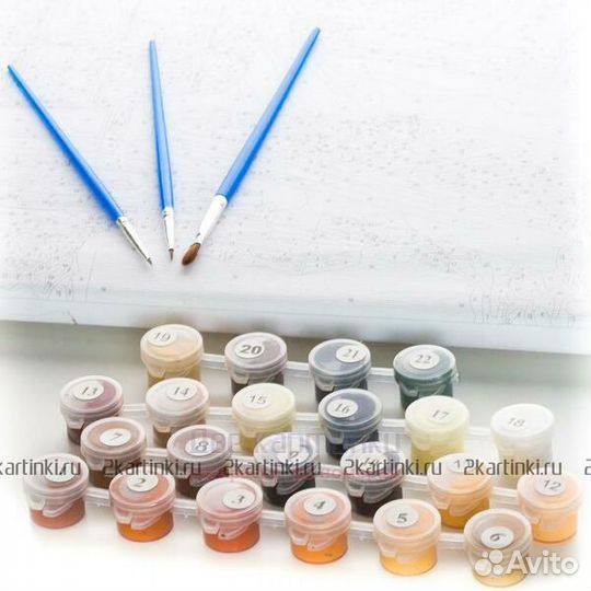 Картина по номерам 40x50 Енот с арбузом в желтых