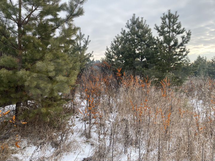 Участок 8,7 сот. (ИЖС)