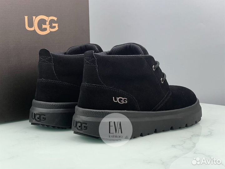 Мужские ботинки Ugg Mens Burleigh Chukka Black