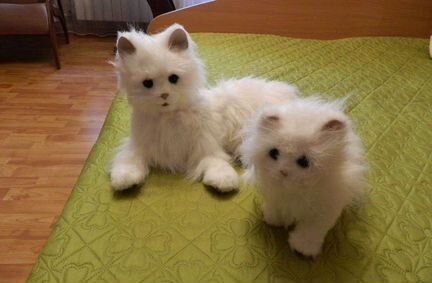 Интерактивная игрушка FurReal Friends