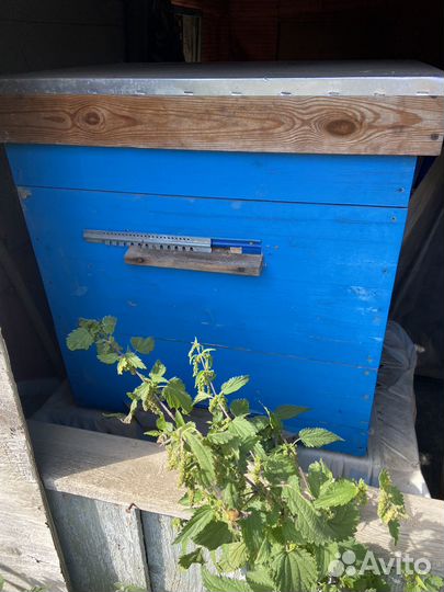 Улей для пчел