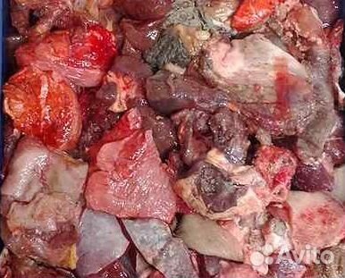 Корм для собак