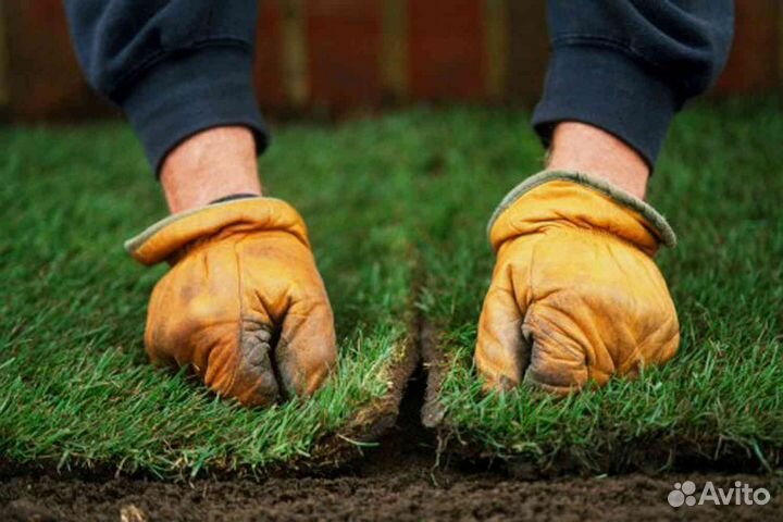 Рулонный газон, укладка рулонного газона