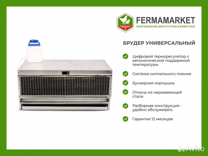 Клетки для перепелов Курск