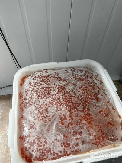 Икра Кеты опт