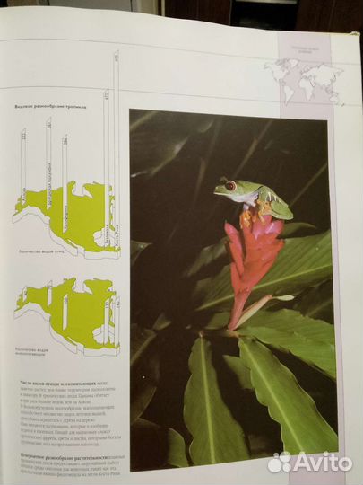 Живая природа. Дэвид Эттенборо