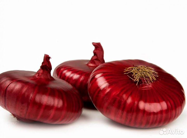 Ялтинский лук от Крымского Производителя урожай 23