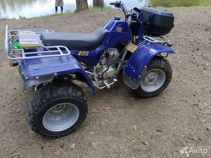 Зид Тарпан 200