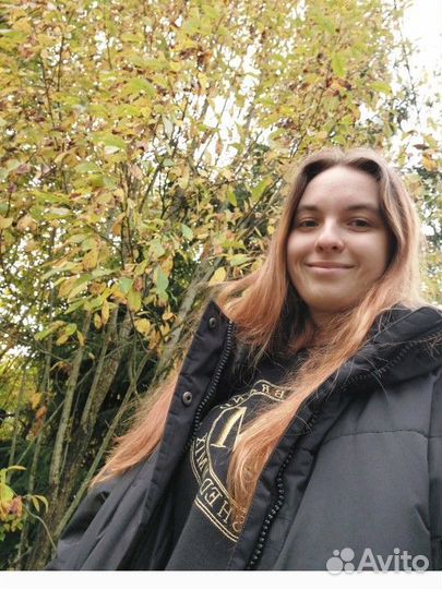 Передержка домашних животных