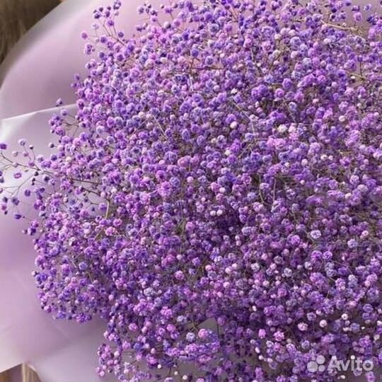 Букет из 15 фиолетовых гипсофил