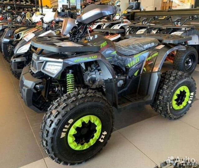 Wild 124-8. Серый. Новые