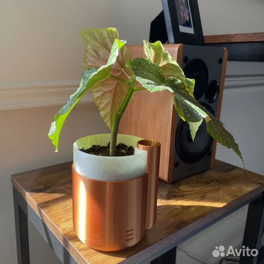 Горшок с авто-поливом