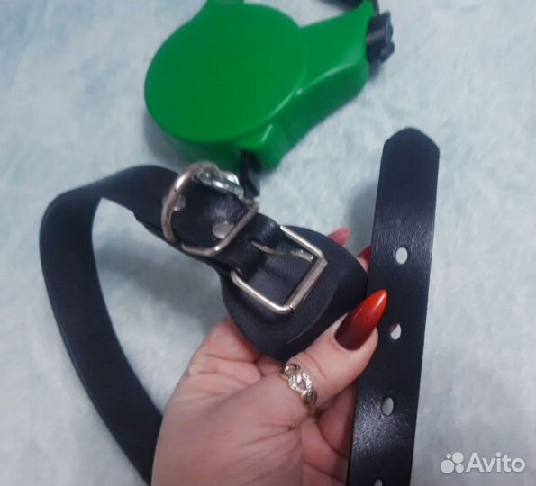 Ошейник+поводок(рулетка)