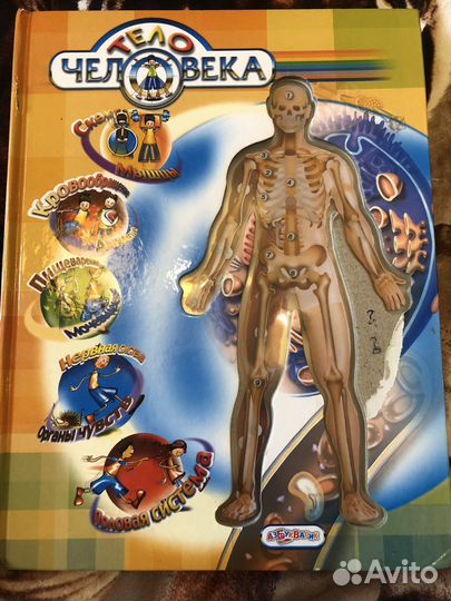 Тело человека книга