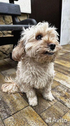 Тротуарная плитка от производителя