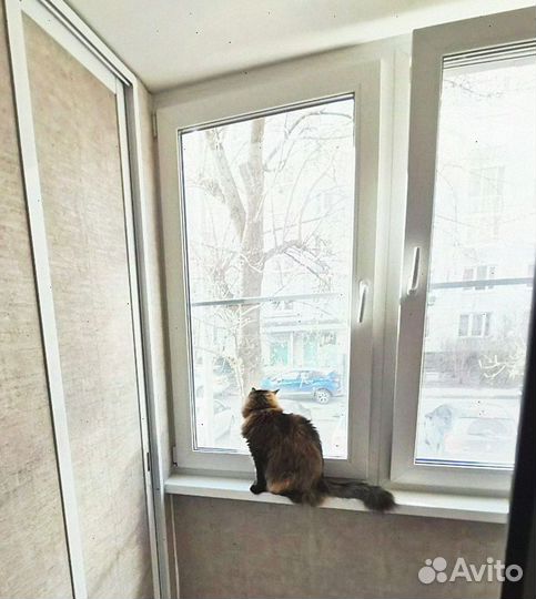 Алюминиевые окна ваши размеры