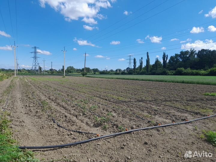 Земельных участок 5 га