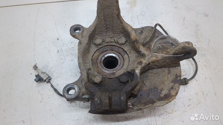 Ступица (кулак, цапфа) Renault Koleos, 2009