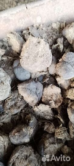 Перегной конский в мешках