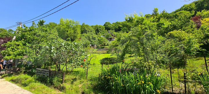 Участок 5,5 сот. (СНТ, ДНП)