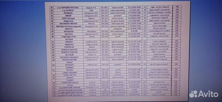 Саженцы винограда