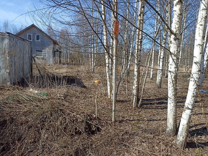 Участок 19,7 сот. (ИЖС)