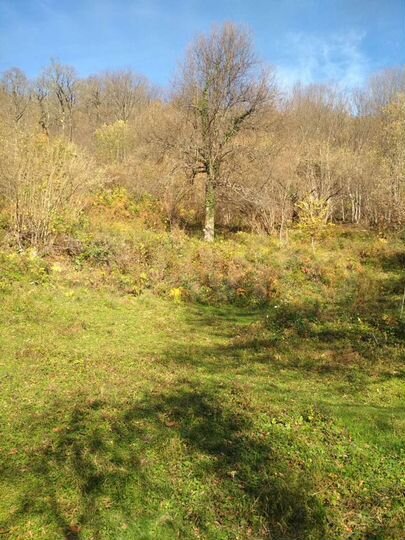 Участок 12 сот. (СНТ, ДНП)