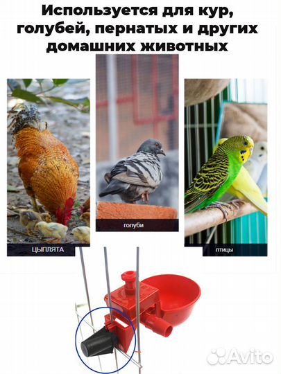 Чашечные поилки для птиц