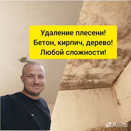 Уничтожение клещей, ос, борщевика на участках