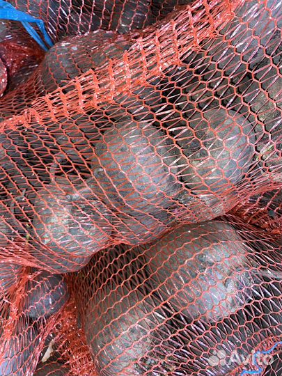 Овощи оптом/розница доставка для хранения