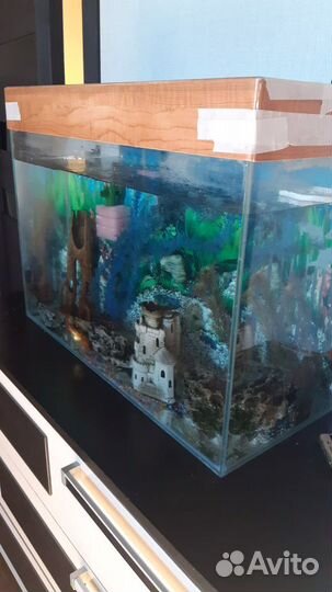 Аквариум