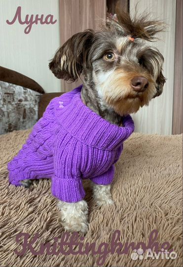 Комбинезоны для собак