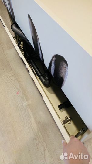 Декоративные кролики