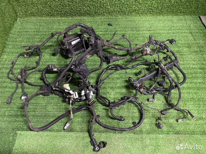 Проводка подкапотная моторная Hyundai solaris 1