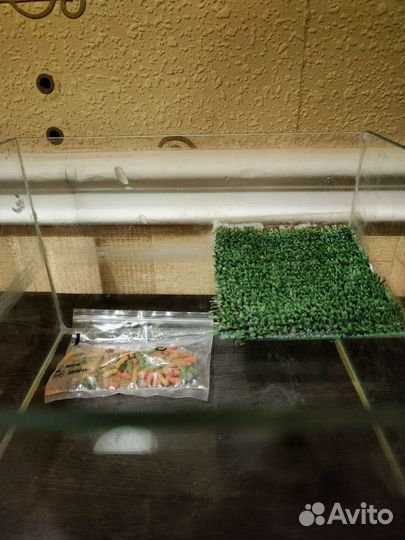 Аквариум для красноухой черепахи