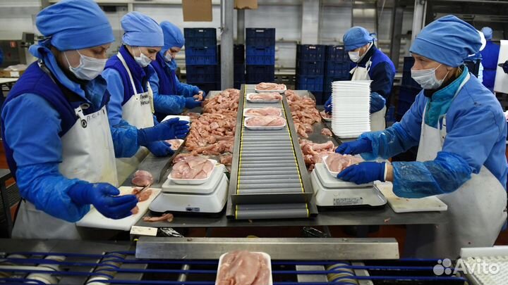 Работа на птицефабрике: удобное месторасположение