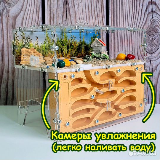 Муравьиная ферма (Новые)