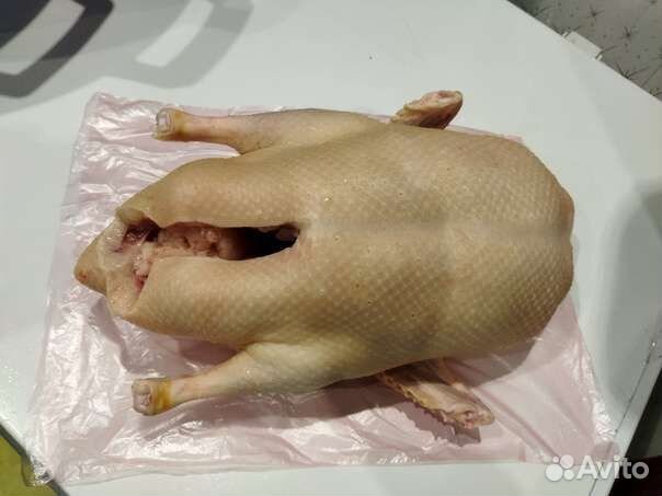 Утка домашняя мясо