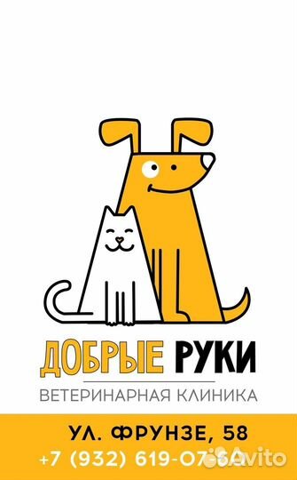 Помощник Администратора, Ветеринарный врач