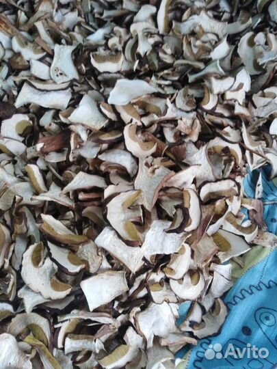 Сухой белый гриб