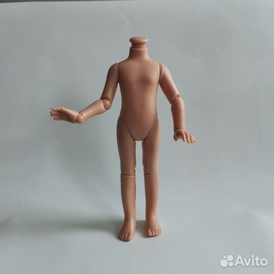 Корейское шарнирное тело для Паола Рейна