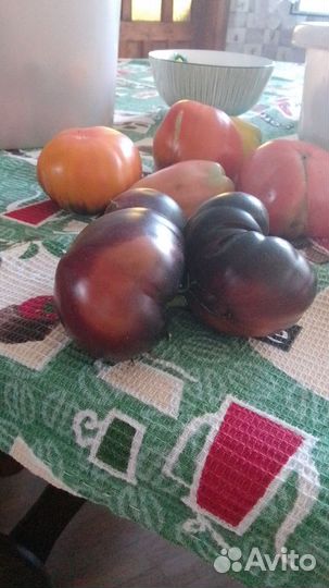 Семена томатов