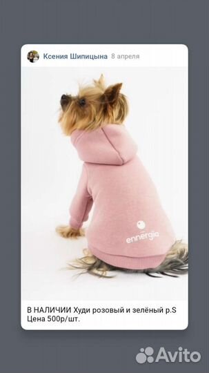 Худи для собак